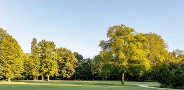 公園