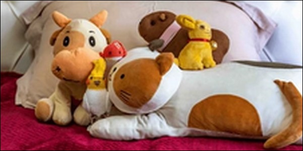 ぬいぐるみで可愛い雰囲気で統一する
